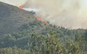 Video - Gökçeada'daki orman yangını 16 saat sonra kontrol altına alındı