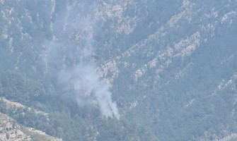 Osmaniye’deki orman yangını kontrol altına alındı