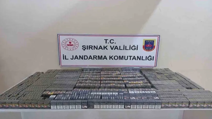 Şırnak'ta 2 milyon 900 bin lira değerinde gümrük kaçağı ürün ele geçirildi