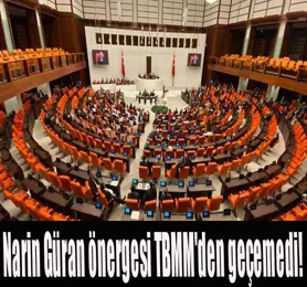 Narin Güran önergesi TBMM'den geçemedi!