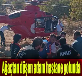 Meyve toplarken ağaçtan düştü, ambulans helikopterle hastaneye sevk edildi