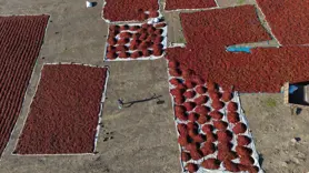 Kilis’te kırmızı biberler güneşte kurutuluyor