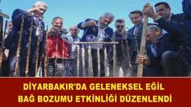Diyarbakır'da 