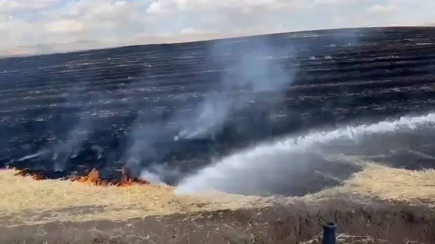 Diyarbakır’da anız yangını