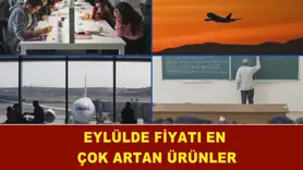 Eylülde fiyatı en çok artan ürünler