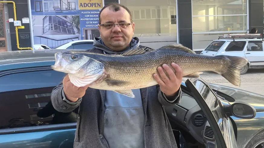 Amatör balıkçı oltayla 6 kilogramlık levrek yakaladı