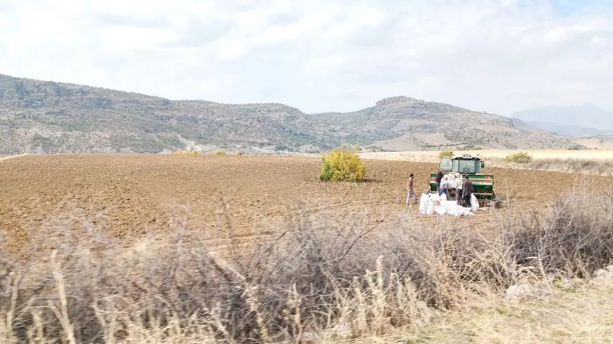 ÇİFTÇİLERİN EKİM MESAİSİ