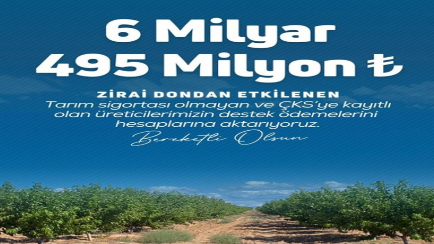 Zirai don destek ödemeleri gerçekleştirildi