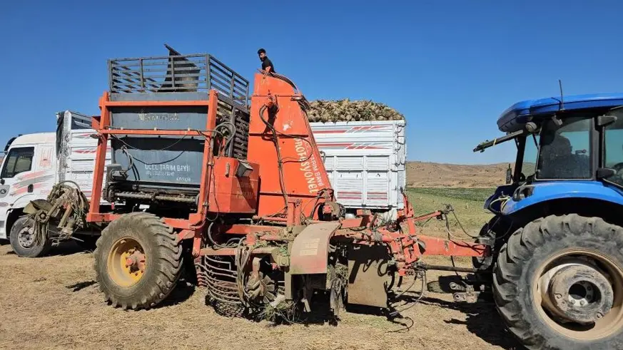 Adilcevaz’da pancar sökümüne başlandı