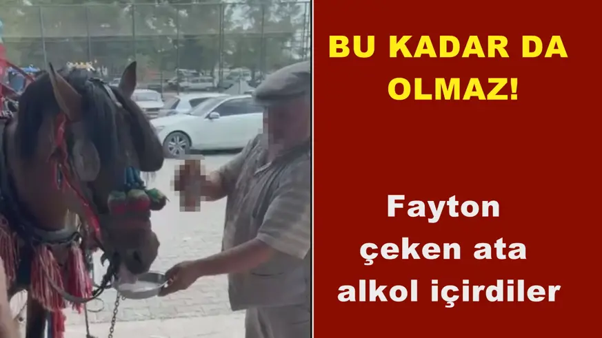 Bu kadarı olmaz