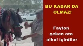 Bu kadarı olmaz