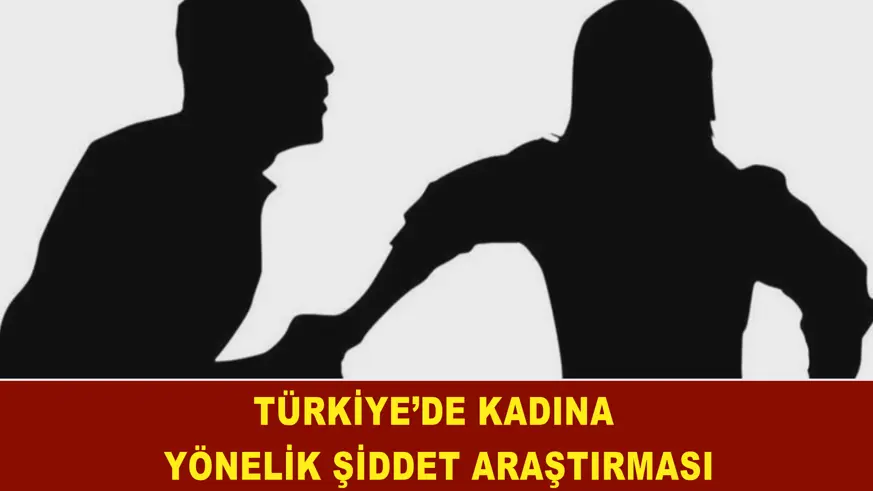 ‘Türkiye’de Kadına Yönelik Şiddet Araştırması’