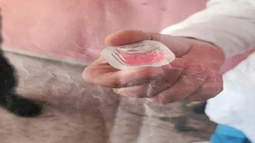 Kapı kapı gezip fotoğraf göstererek tehlikeye dikkat çektiler