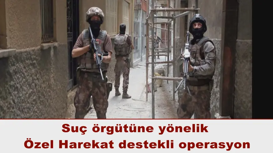 Suç örgütüne yönelik  Özel Harekat destekli operasyon