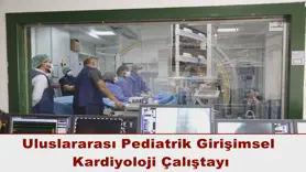 Uluslararası Pediatrik Girişimsel  Kardiyoloji Çalıştayı