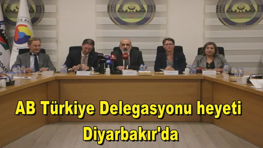 AB Türkiye Delegasyonu heyeti  Diyarbakır'da