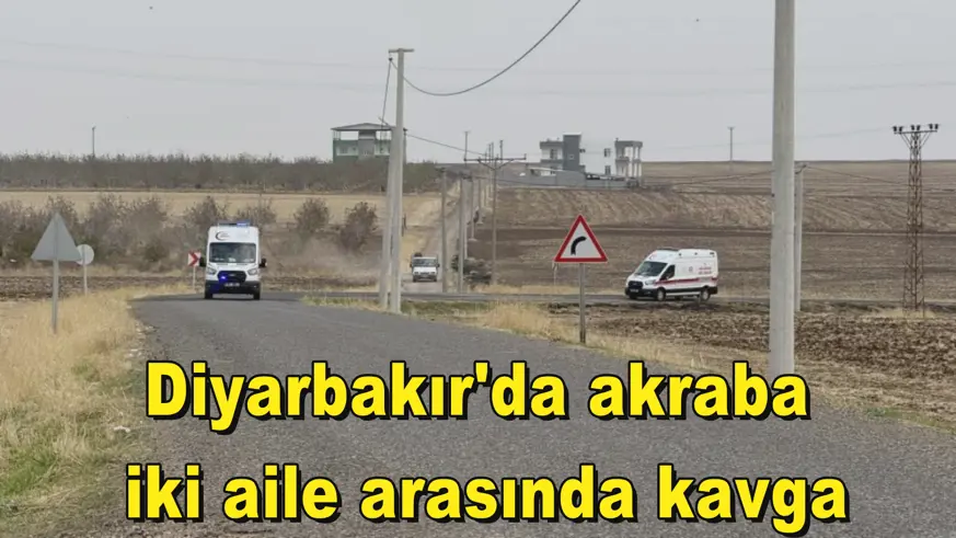 Diyarbakır'da akraba  iki aile arasında kavga