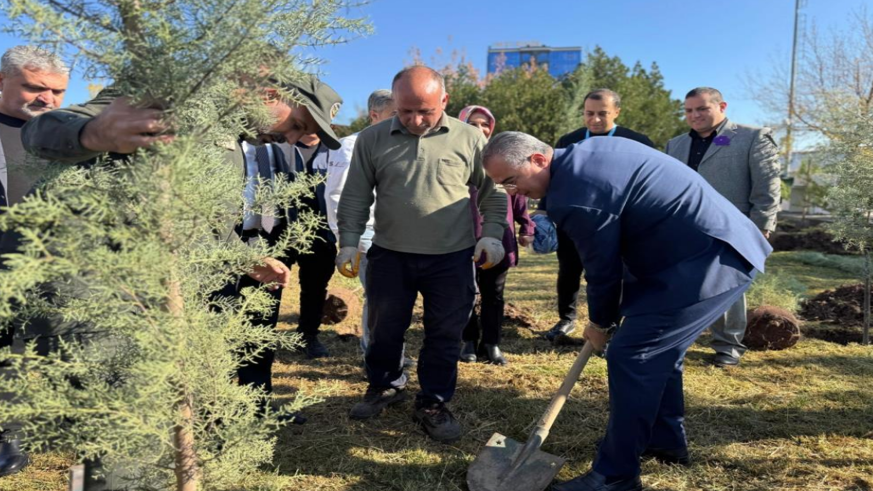 Diyarbakır’da Dünya Prematüre Günü etkinliği