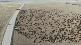 Göçerlerin zorlu yolculuğu başladı