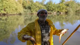 Dicle Nehri'nde 55 yıldır 