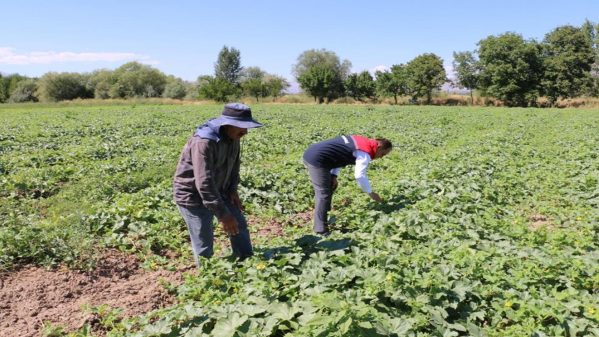 ÇKS başvuruları 31 Aralık’ta sona eriyor