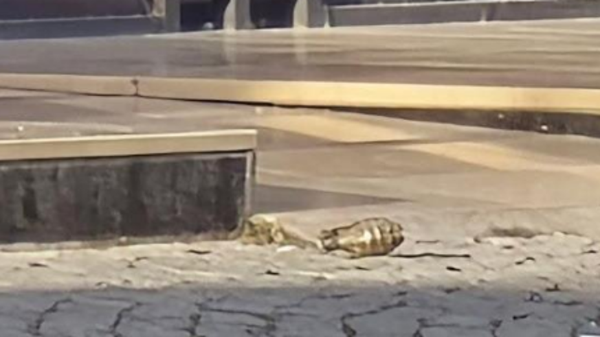 Otele el bombası atıldı