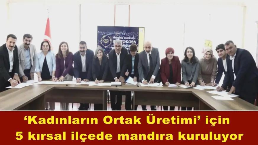 5 kırsal ilçede mandıra kuruluyor