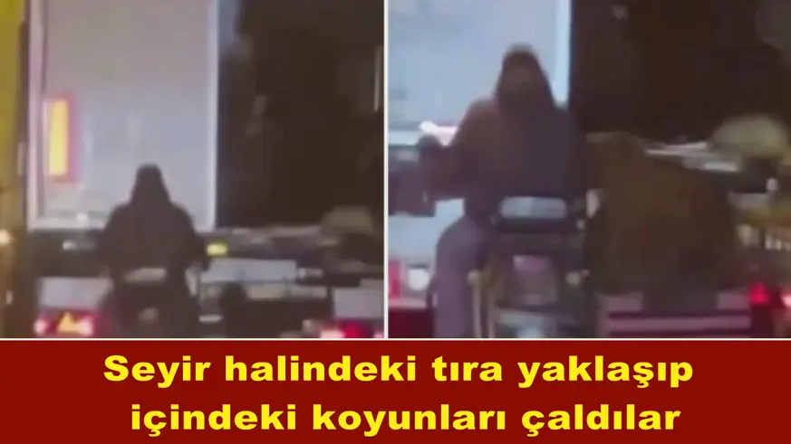 Böyle hırsızlık görülmedi