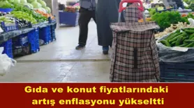 Gıda ve konut fiyatlarındaki artış enflasyonu yükseltti