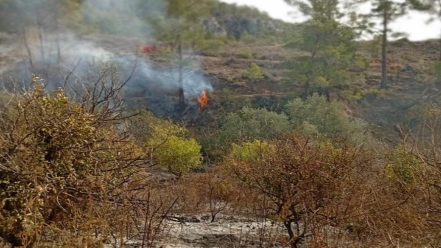Yaşlı adam, bahçesini temizlerken yangında hayatını kaybetti
