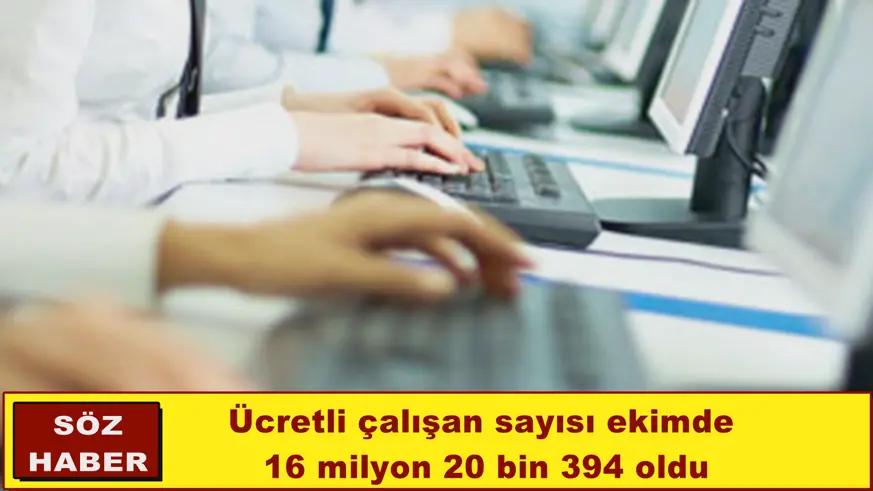 Ücretli çalışan sayısı