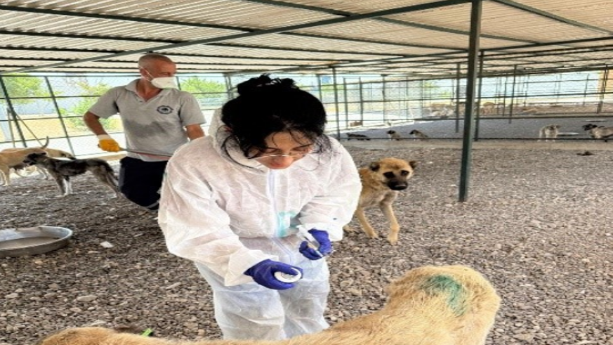 2025'te 10 bini aşkın ihbara müdahale