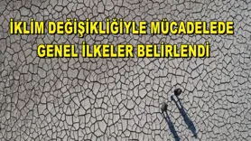 İklim değişikliğiyle mücadelede genel ilkeler belirlendi