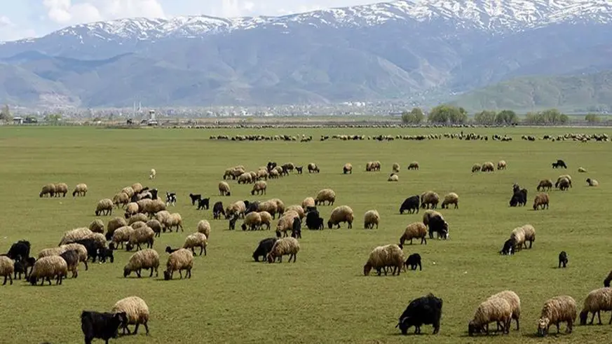 Başvurular başladı