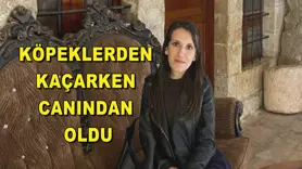 Köpeklerden kaçarken canından oldu