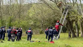 Budamak için çıktığı ağaçta fenalaşan kişi öldü