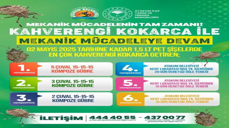 Kahverengi kokarca getir, ödülü götür