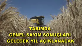 Tarımda genel sayım sonuçları gelecek yıl açıklanacak