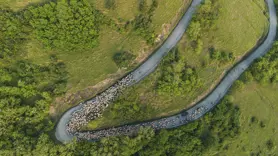 Doğu Karadeniz'de besicilerin yaylalara göçü sürüyor