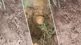 İnsan kemikleri ATK’ye gönderildi