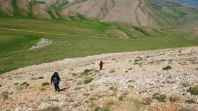 Heliz otu ve mantar zehirlenmesi uyarısı