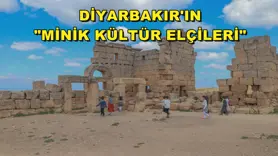 Diyarbakır'ın 