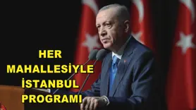Her Mahallesiyle İstanbul Programı