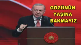 Gözünün yaşına bakmayız