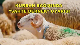  Kurban bağışında 