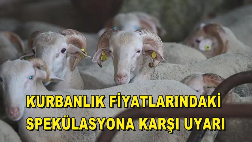 Kurbanlık fiyatlarındaki spekülasyona karşı uyarı