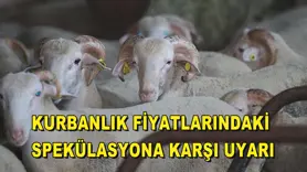 Kurbanlık fiyatlarındaki spekülasyona karşı uyarı