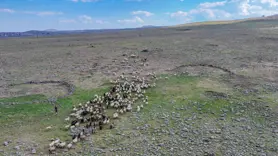 Diyarbakırlı çoban çektiği fotoğraflarla yöresini tanıtıyor