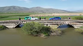 İnci kefalleri, kolluk kuvvetlerinin korumasında
