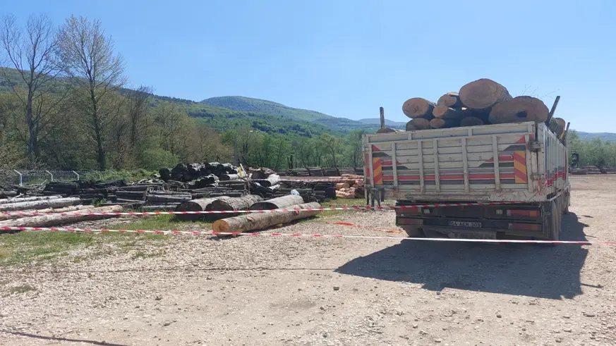 Üzerine tomruk devrilen işçi öldü
